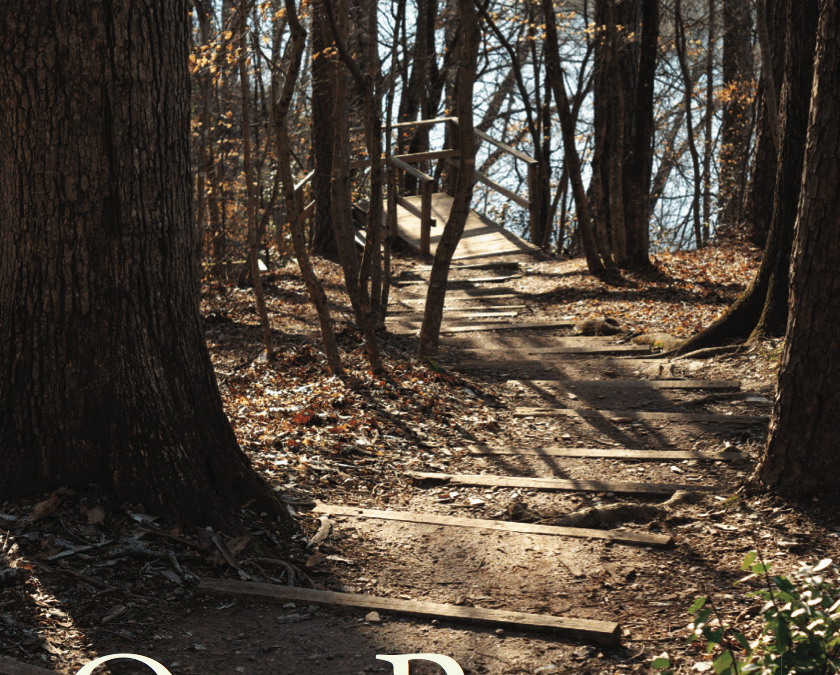 One Pastor, Twelve Steps